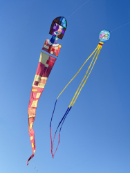 Cervia2026-297