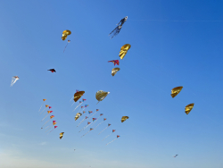Cervia2026-298