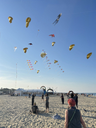 Cervia2026-299