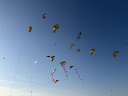 Cervia2026-300