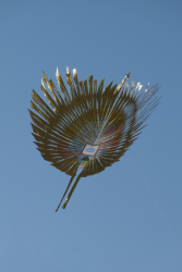 Cervia2026-301