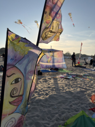 Cervia2026-307