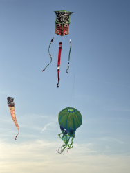 Cervia2026-310