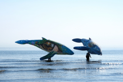 Cervia2026-313