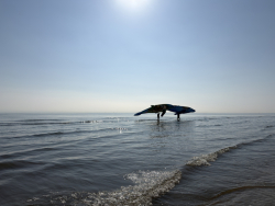 Cervia2026-315