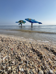 Cervia2026-317