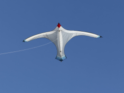 Cervia2026-324