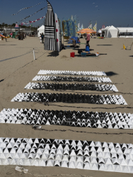 Cervia2026-333