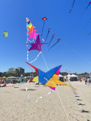 Cervia2026-345