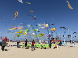 Cervia2026-365