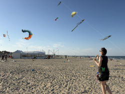 Cervia2026-392