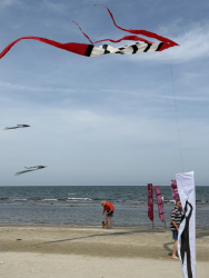 Cervia2026-420