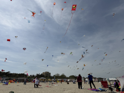Cervia2026-426