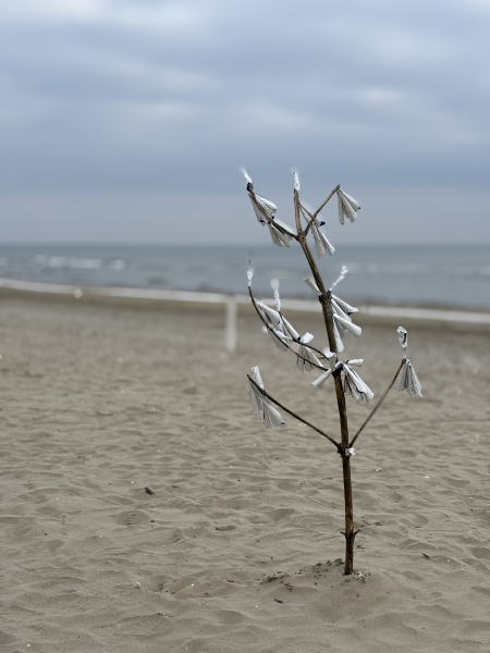Cervia2026-436