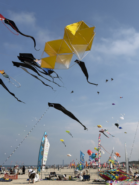 Cervia2026-469