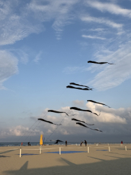Cervia2026-484