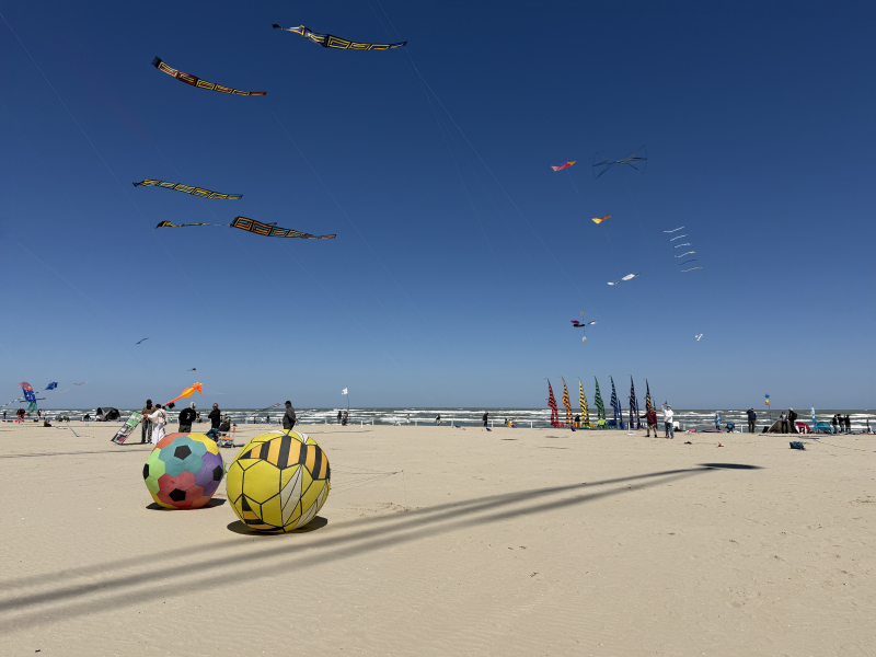 Cervia2026-497