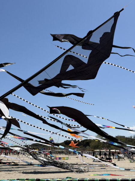 Cervia2026-515
