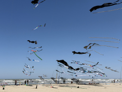 Cervia2026-499