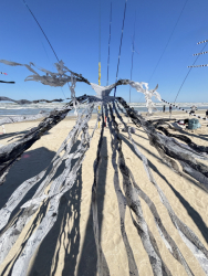 Cervia2026-501