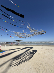 Cervia2026-503