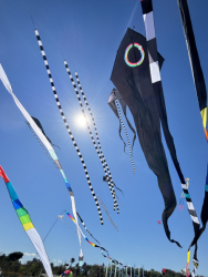 Cervia2026-504