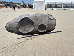Cervia2026-526