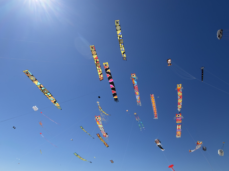 Cervia2026-562