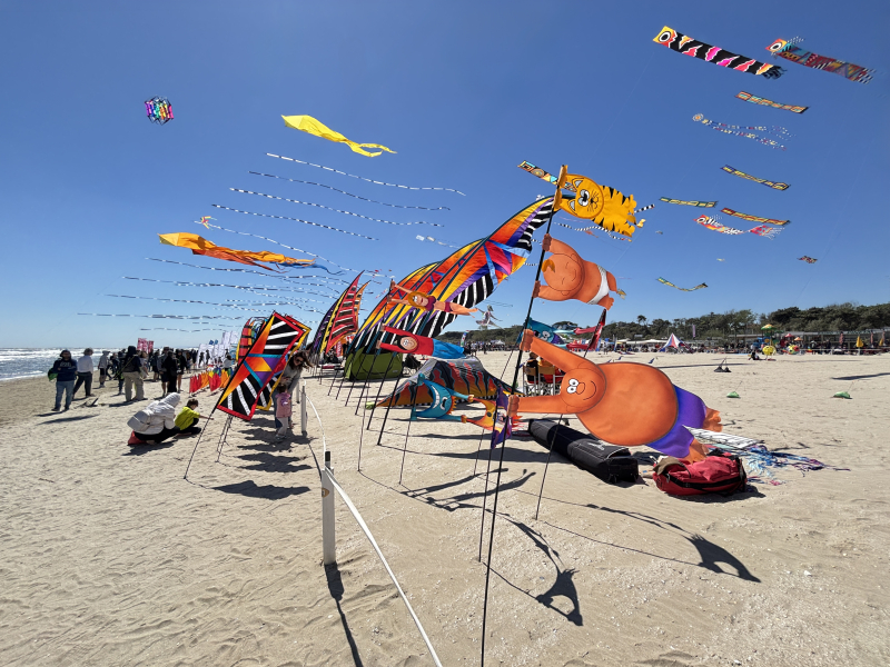 Cervia2026-564