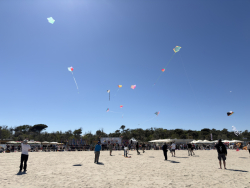 Cervia2026-607