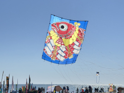 Cervia2026-635