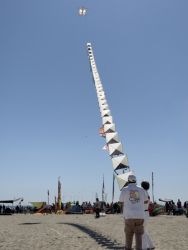 Cervia2026-638