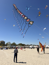 Cervia2026-649