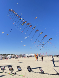 Cervia2026-650