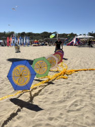Cervia2026-654
