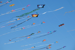 Cervia2026-659