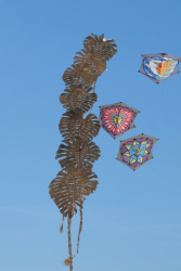 Cervia2026-684