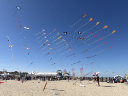 Cervia2026-686
