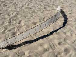 Cervia2026-687