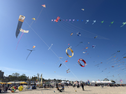 Cervia2026-689