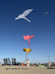 Cervia2026-694