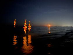 Cervia2026-709