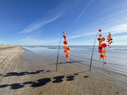 Cervia2026-728
