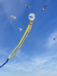 Cervia2026-738