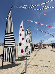 Cervia2026-747