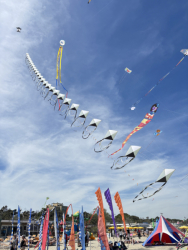 Cervia2026-763
