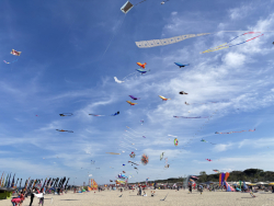 Cervia2026-772