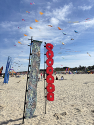 Cervia2026-774