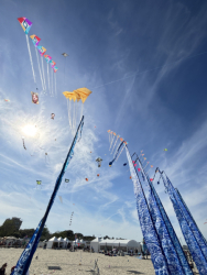 Cervia2026-776