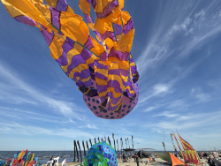 Cervia2026-789